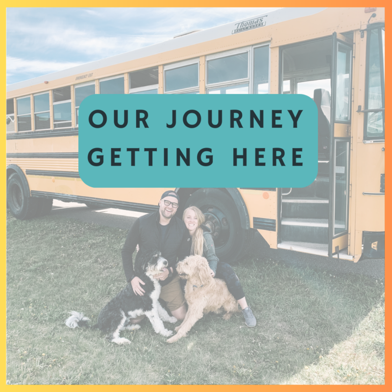 The Rolling Doodles-Blog Post